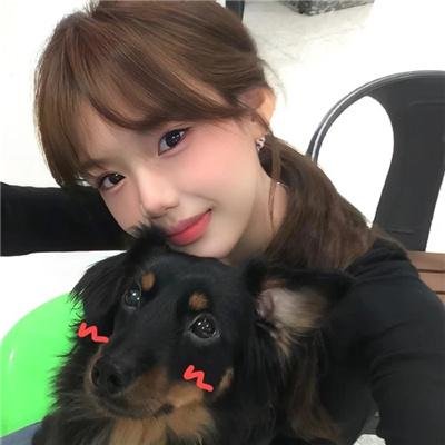 猫小姐寻真爱