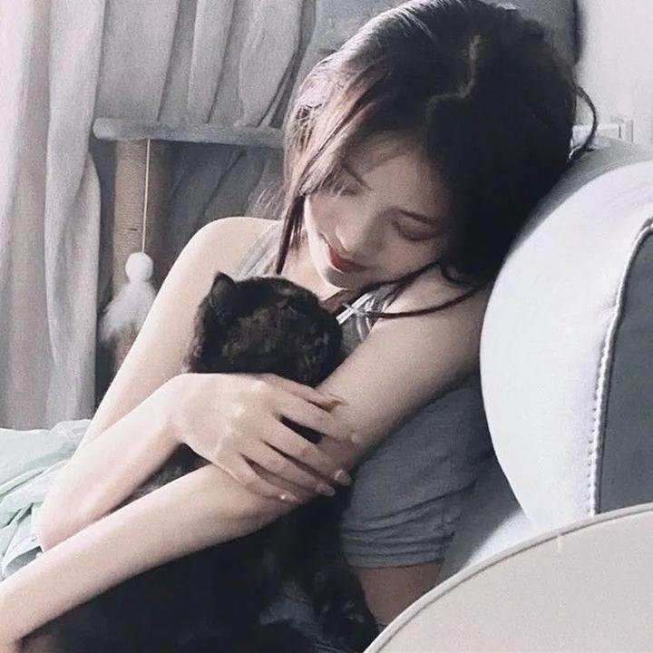 飞行之翼